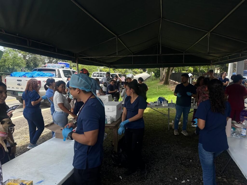 Médicos veterinarios y colaboradores reunidos durante la gira solidaria APMV 2026.
