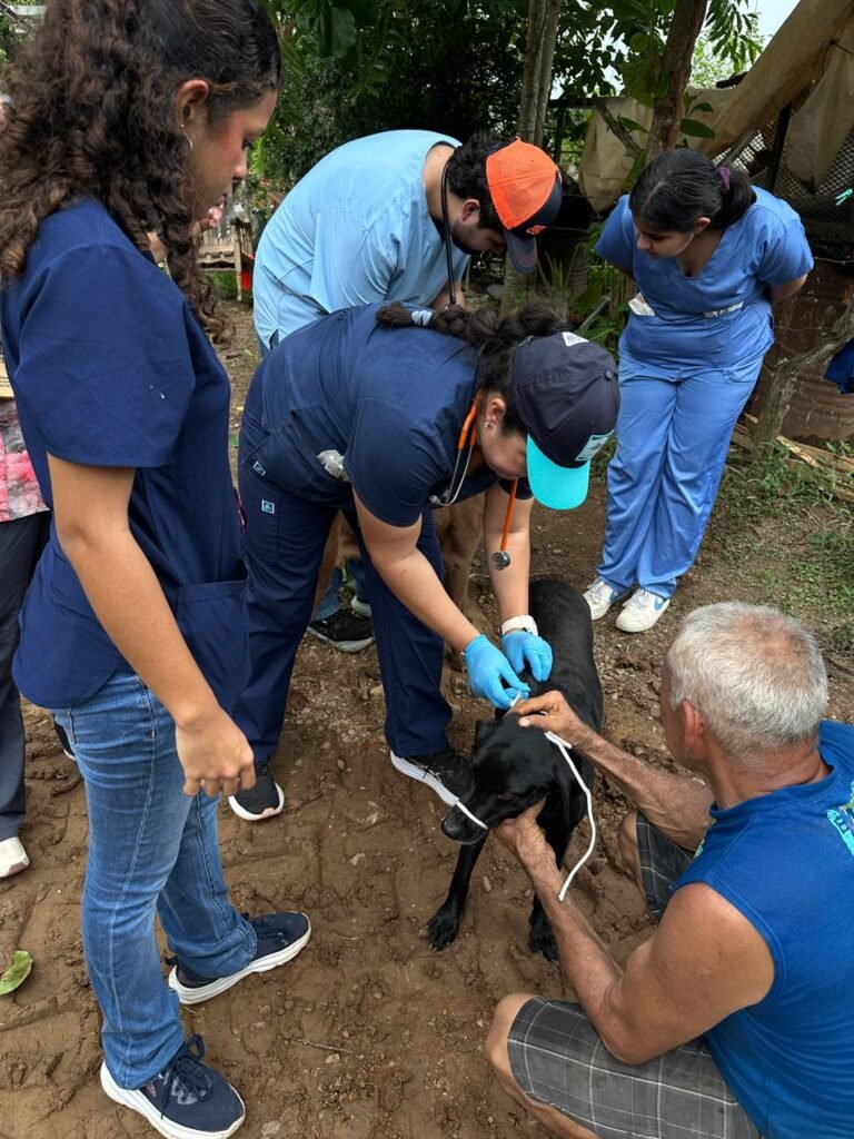 Médicos veterinarios y colaboradores reunidos durante la gira solidaria APMV 2026.