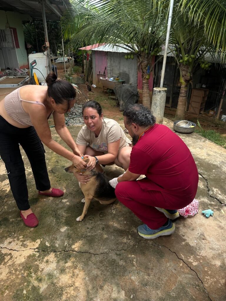 Médicos veterinarios y colaboradores reunidos durante la gira solidaria APMV 2026.