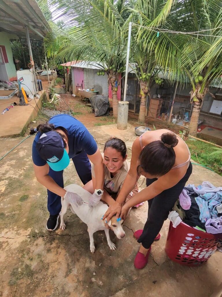 Médicos veterinarios y colaboradores reunidos durante la gira solidaria APMV 2026.