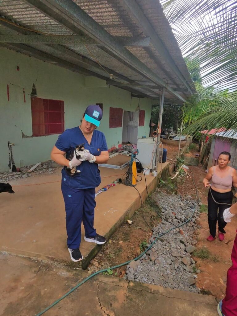 Veterinario con gorra camina sosteniendo a un gato pequeño junto a una vivienda.
