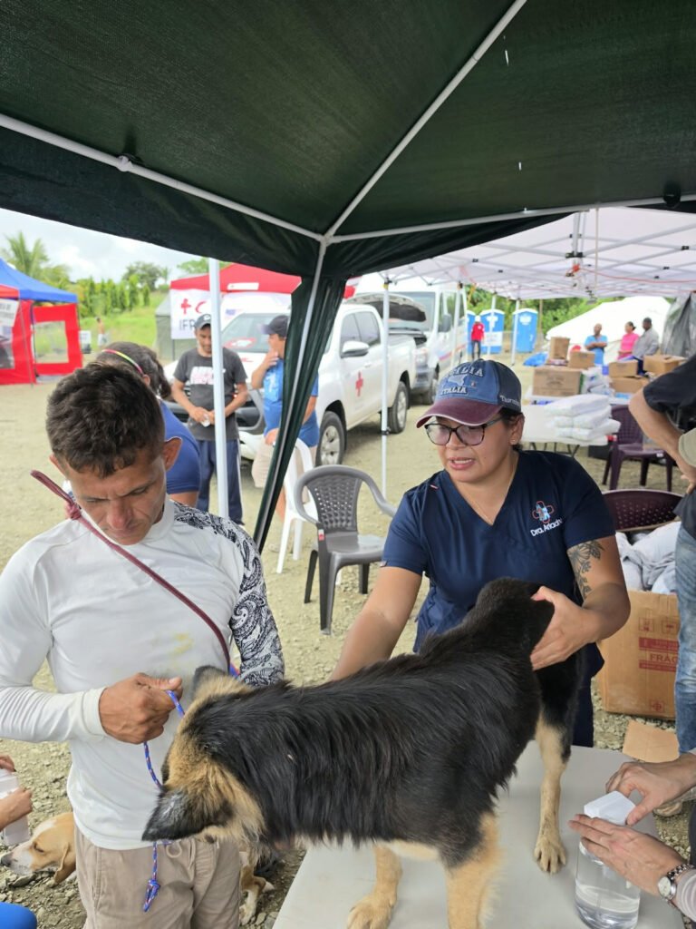 Médicos veterinarios y colaboradores reunidos durante la gira solidaria APMV 2026.