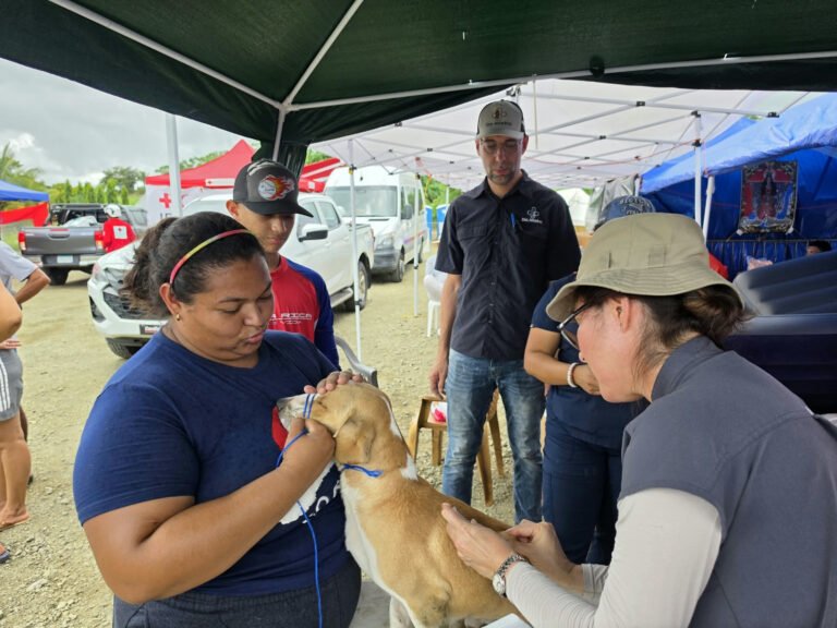 Médicos veterinarios y colaboradores reunidos durante la gira solidaria APMV 2026.
